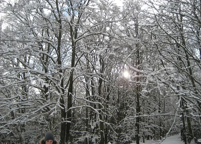 Hampel 3* Schmallenberg