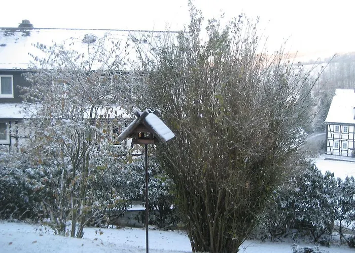 Hampel 3* Schmallenberg