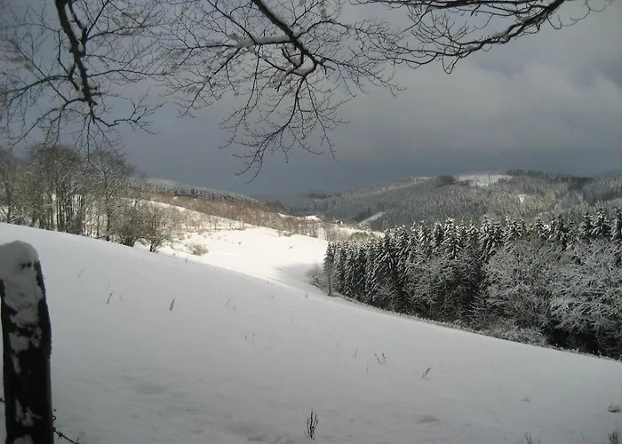 Hampel Schmallenberg