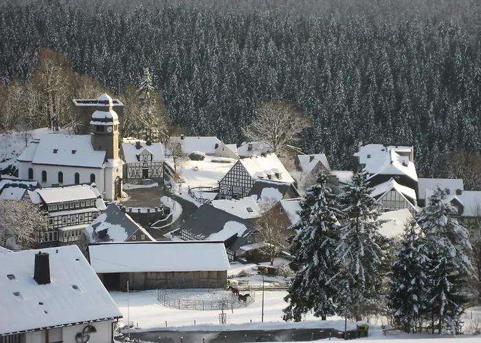 Hampel Schmallenberg